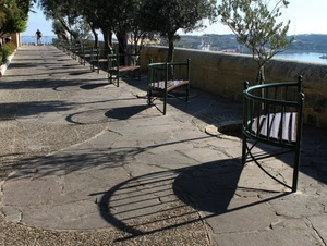 panchine, alberi, ombre, strada, ombra, uomo, muretto, viale