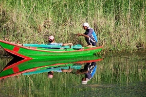 barca, riflesso, acqua, verde, fiume, canne, canneto, rosso