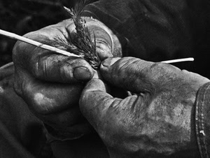 mani, spiga, bianconero, dita, unghie, lavoro, grano, intreccio