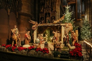 presepe, fiori, capanna, statuine, angelo, pecore, madonna, stella, statue, rosso, chiesa
