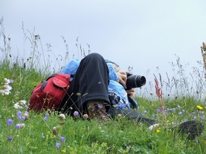 fotografo, prato, fiori, erba, borsa, zaino, rosso, sdraiato