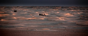 deserto, sabbia, persone, dune, carovana, cammelli, paesaggio, tramonto