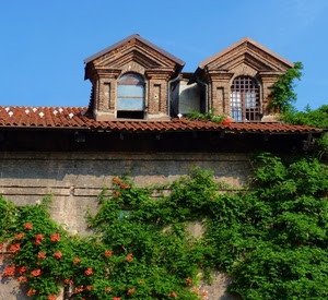abbaini, tetto, fiori, verde, due, piante, tegole, rampicante, finestre, pianta