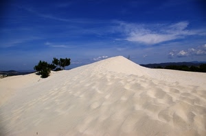 sabbia, cielo, duna, nuvole, alberi, azzurro, bianco, arbusti, verde