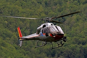 elicottero, verde, alberi, pale, bosco, elica, coda, rosso, volare, giallo, cabina, rotore, eliche, piante, pattini, volo