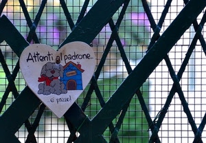 cuore, cane, cancello, rete, ferro, cuccia, avviso, fiocco, scritta, geometria, verde, parole, bianco, sfocato, disegno, grigio, azzurro, sbarre, grata, lettere, quadrati, frase, griglia