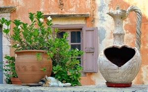 finestra, verde, cuore, gatto, fiori, vaso, anfora, vasi, pianta, foglie, manico, micio, piante, bianco, muro, sottovaso, terracotta