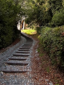 alberi, foglie, siepe, gradini, verde, sentiero, sassi, scalini, scalinata, erba, portone, pietra, casa, piante, cespugli, ciottoli, scale, strada, luce, porta, salita, rami