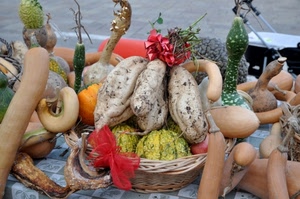 zucche, rosso, verde, fiocco, giallo, cesto, ortaggi, vimini, fiocchi, patate, arancione, verdura, zucchine, colori, tovaglia, tavolo, banco, cestino