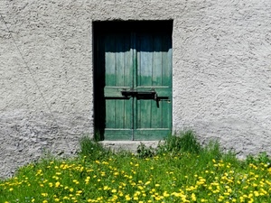 fiori, porta, erba, verde, muro, grigio, giallo, chiavistello, legno, prato, catenaccio, ombra